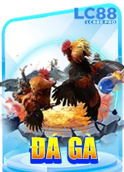 Đá gà S88VIP